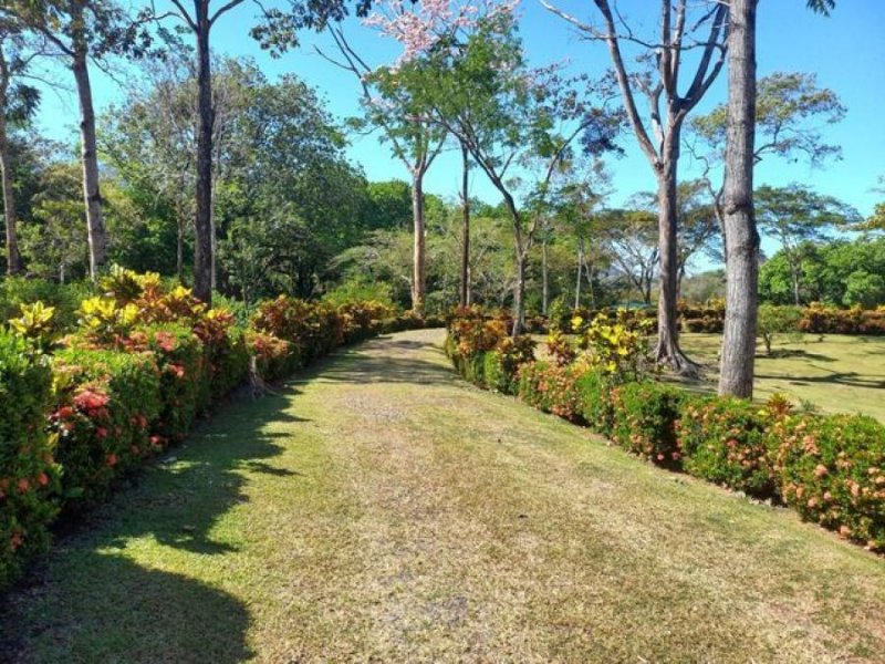 Terreno en Venta en  Turrubares, San José