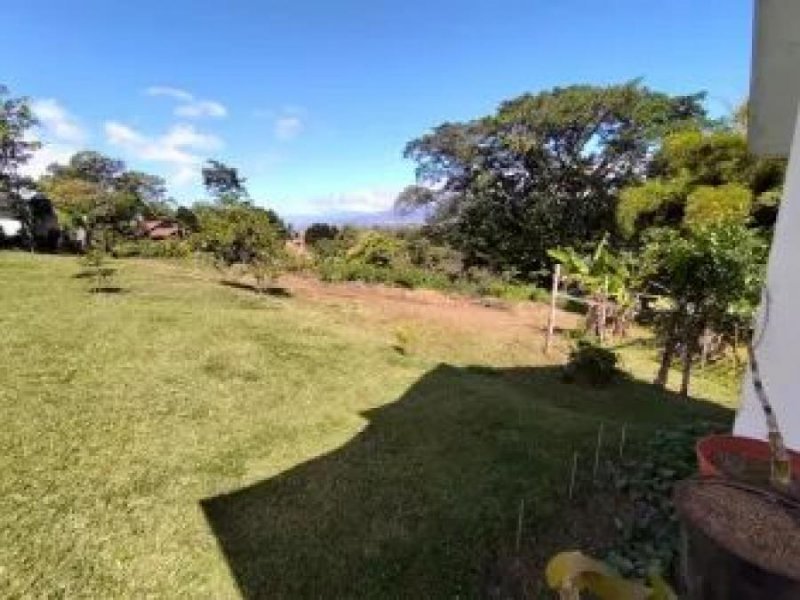 Terreno en Venta en  San Ramón, Cartago