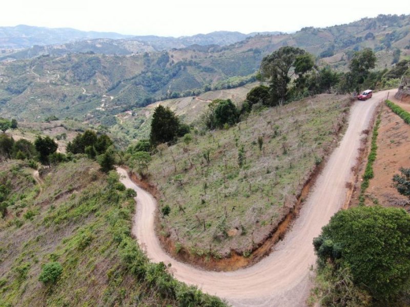 Venta de Terreno en Santa Cruz de León Cortés, San José.