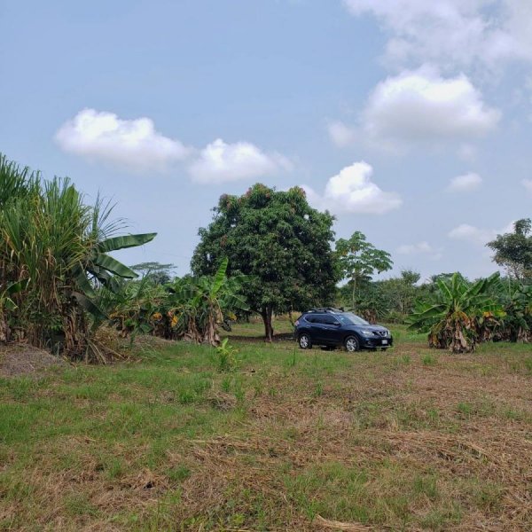 Terreno en Venta en Los Angeles Loma LInda, Puntarenas