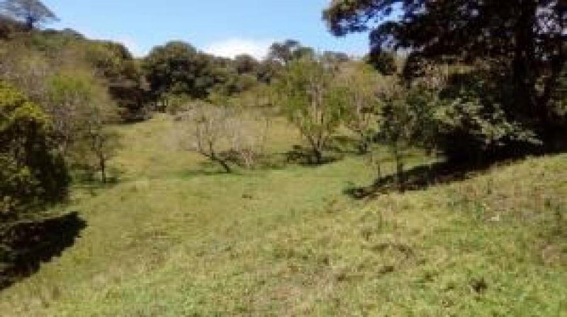 Foto Terreno en Venta en Abanganres, Guanacaste - 2 hectareas - U$D 212.071 - TEV34300 - BienesOnLine