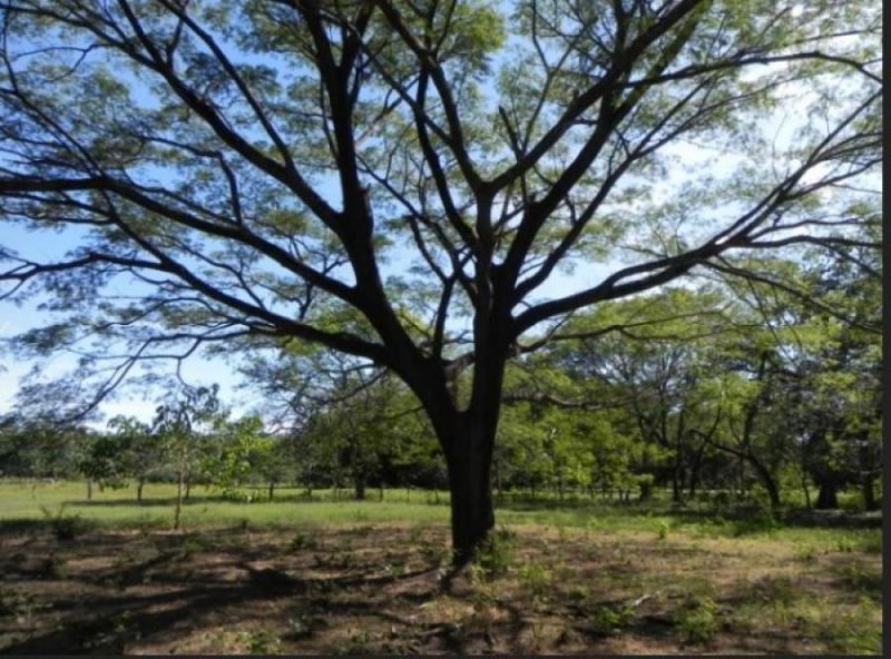 Terreno en Venta en Sardinal Carrillo Guanacaste Carrillo, Guanacaste