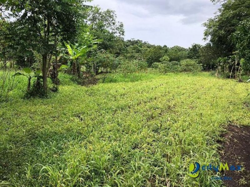 Foto Terreno en Venta en Atenas, Alajuela - ¢ 50.000.000 - TEV83143 - BienesOnLine