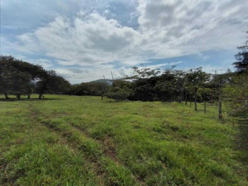 Foto Terreno en Venta en Alajuela, Alajuela - U$D 4.316.000 - TEV64059 - BienesOnLine