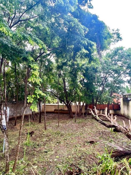 Terreno en Venta en Tamarindo centro Santa Cruz, Guanacaste