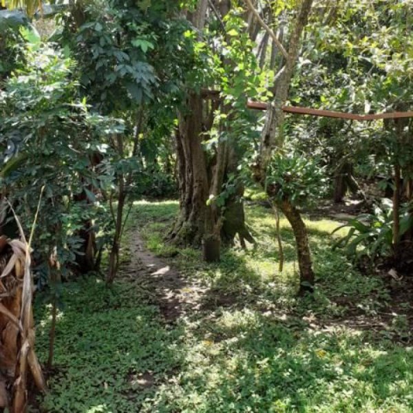 Foto Terreno en Venta en Centro, Escazú, San José - U$D 600.000 - TEV19858 - BienesOnLine