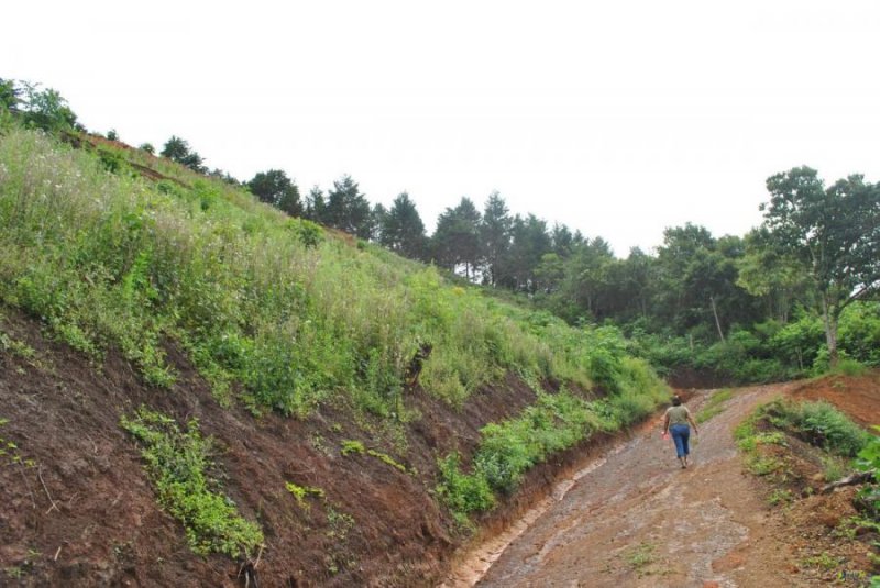 Foto Terreno en Venta en Tarbaca, San José - ¢ 95.000.000 - TEV83208 - BienesOnLine