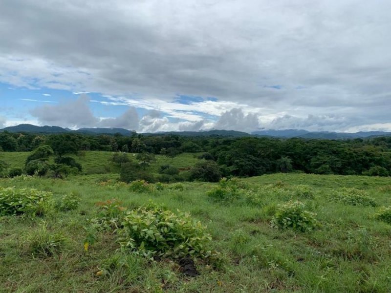 Finca en Venta en PLAYA VENADO Santa Cruz, Guanacaste